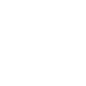 BOOR logo png