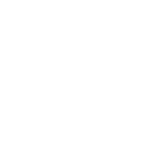 TEDX logo